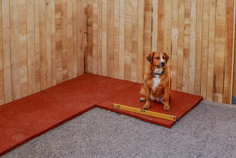An ein Gebäude angebaut entsteht eine großzügige Box, ein Aufenthaltsbereich für Hunde. Man ist gerade dabei, die ziegelroten WARCO Platten auf einer dünnen Schicht aus Splitt zu verlegen. Ein Hund nimmt aktiven Anteil an der Arbeit.