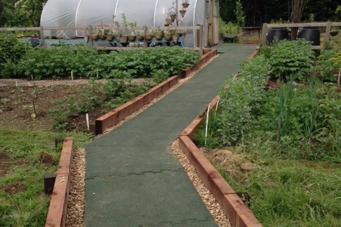 Grüner Weg durch Gärtnerei, der zu Gewächshaus führt. Warco-Gehwegplatten in grün gesäumt von Beeten mit Grünpflanzen.